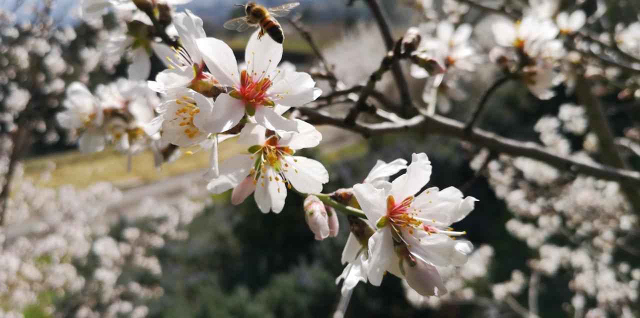 Piccola Casa Toscana Con Giardino Con Vista Mozzafiato Podere Cordicella المظهر الخارجي الصورة