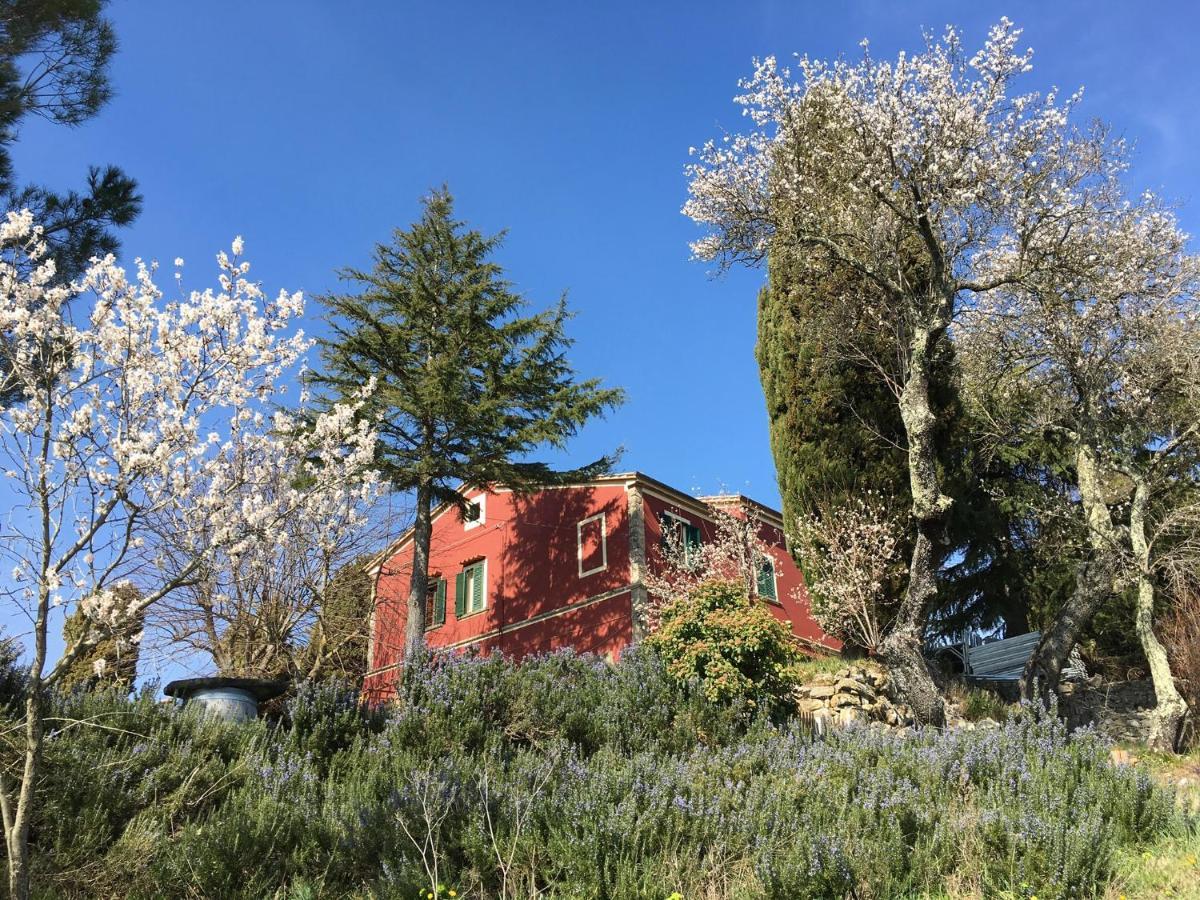 Piccola Casa Toscana Con Giardino Con Vista Mozzafiato Podere Cordicella المظهر الخارجي الصورة
